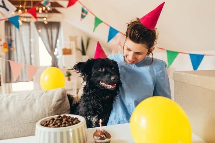 愛犬の誕生日を祝おう 大切な家族へのおすすめプレゼント11選