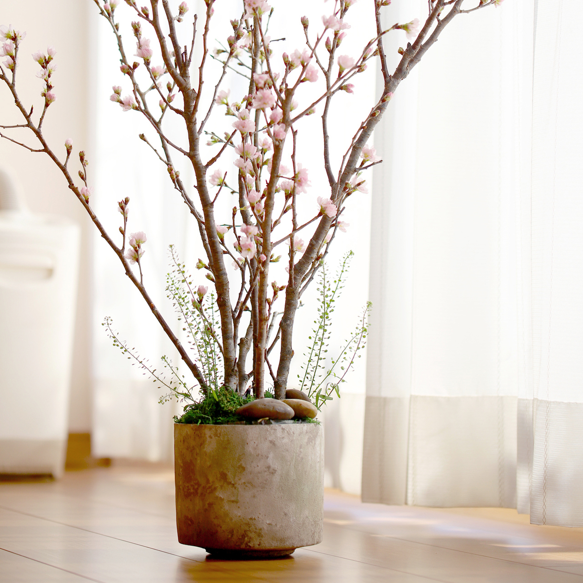 桜の鉢植えを自作できる｜花工房あげたけ「自宅で！桜のお花見キット」