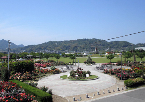 よしうみバラ公園