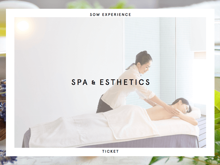 SOW EXPERIENCE 個室スパ&エステチケットPLUS ¥24,300 (税込)