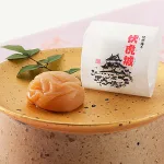 紀州藩士にちなんで名付けられた 伏虎城