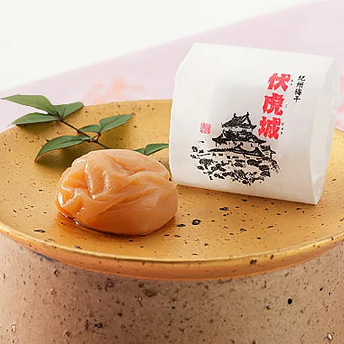 紀州藩士にちなんで名付けられた 伏虎城