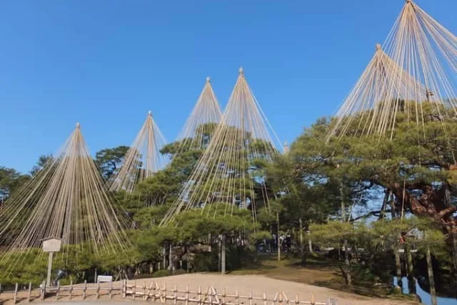 石川県に行ったら買っておきたい人気のお土産おすすめ20選