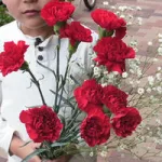 2.　ボリューミーで大満足「赤のカーネーションの花束」