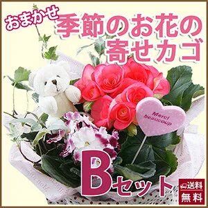 8.　キュートなお母さんにぴったり「母の日　おまかせ寄せかご」