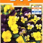 実咲花7525 ビオラ 美色混合
