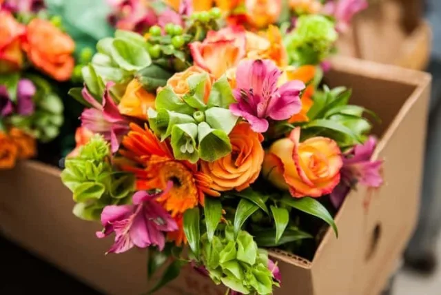 知っていますか「お見舞いでお花を持参する時」の注意点とは？