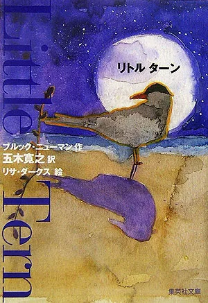 絵が美しい リトルターン
