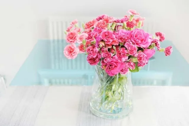 カーネーションの花言葉や誕生花・特徴・由来・英名など一挙紹介！