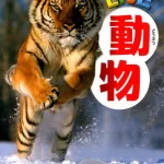 9位 DVD付きのものも 図鑑