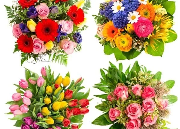 開業を華やかに彩る「お祝いの花」！ケース別の選び方と贈り方を徹底解説