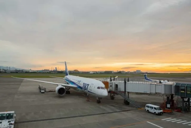 松山空港で旅の思い出と共に買って帰りたい。おすすめのお土産10選