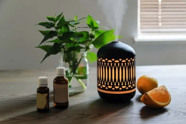 女性へのプレゼントに。インテリアにもなるおしゃれ加湿器15選