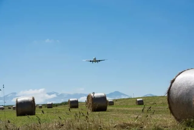 旭川空港のお土産って知ってる？旭川の魅力と併せてご紹介します
