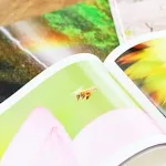 MY BOOKのプロ写真家が認めるフォトブック