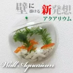 使い方次第でおしゃれなインテリアに「壁掛け水槽」