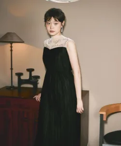 etoll.／エトル Bijou embroidery illusion neck pleated dress