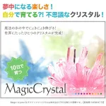彼女のお気に入りのカラーを贈ろう「マジッククリスタル」