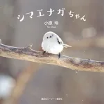 鳥好きさんには堪らない♪人気商品のシマエナガちゃん