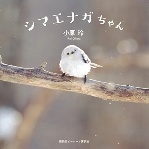 鳥好きさんには堪らない♪人気商品のシマエナガちゃん