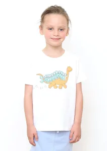 コラボレーション キッズ Tシャツ（恐竜）/graniph