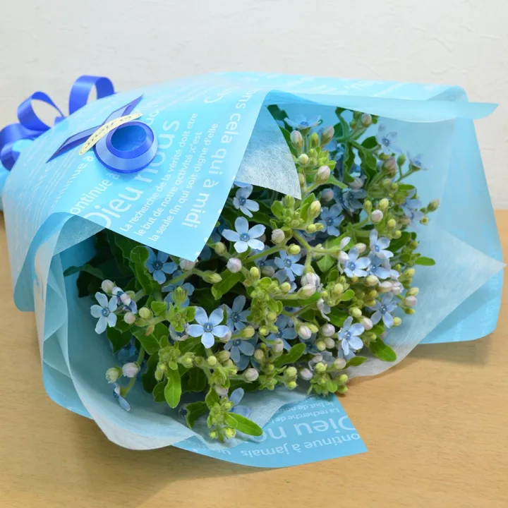 将来を約束したい彼女に！「幸福な愛と信じあう心」を誓うブルースターの花束