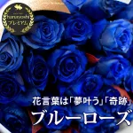 花言葉は夢叶う「青バラとかすみ草の花束 ～5本以上から60本まで」