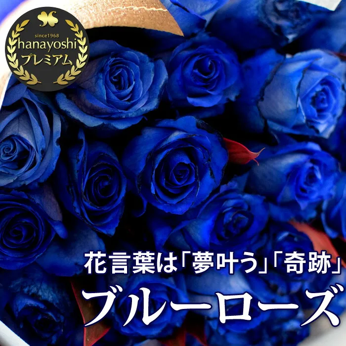 花言葉は夢叶う「青バラとかすみ草の花束 ～5本以上から60本まで」