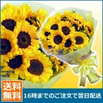 花言葉:『私はあなただけを見つめる』