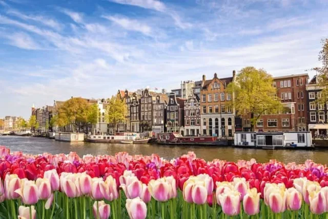 オランダのお土産おすすめランキング11選！喜ばれるものは何？