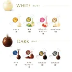 Lindt／リンツ リンドール テイスティングセット15種16個入り