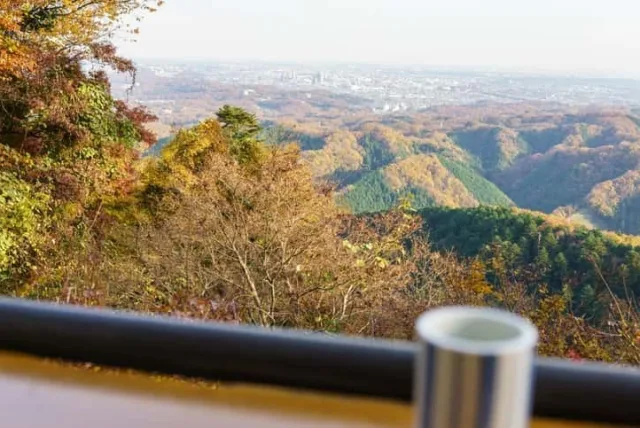 高尾山で買いたいお土産10選！鉄板商品はもらっても嬉しい