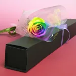 ブラックBOXレインボーローズ生花一輪