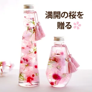 花まりか 桜ハーバリウムL