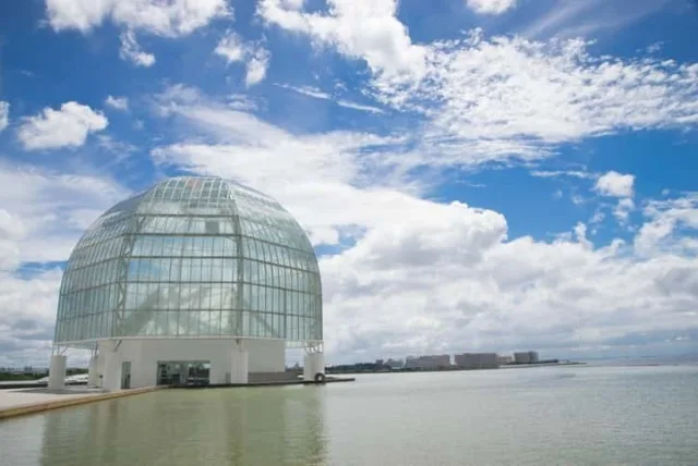 葛西臨海水族園で買いたいお土産10選。素敵なオリジナルグッズを思い出に！