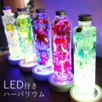 LED付きハーバリウム
