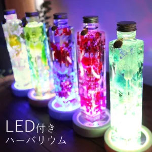サウンドアレンジ LED付きハーバリウム