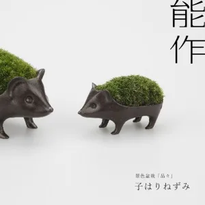 NOUSAKU／能作 子はりねずみの苔盆栽