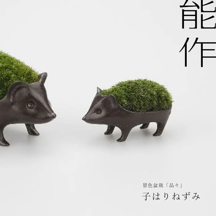 盆栽に馴染みのない方にも贈りたい