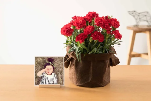 スマホですぐに注文できる!写真とお花のギフトセットを母の日に