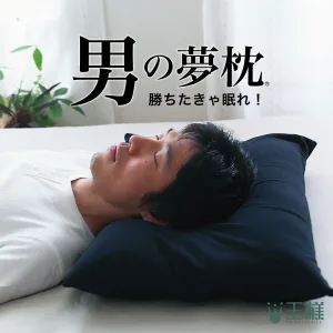 王様の枕シリーズ 男の夢枕