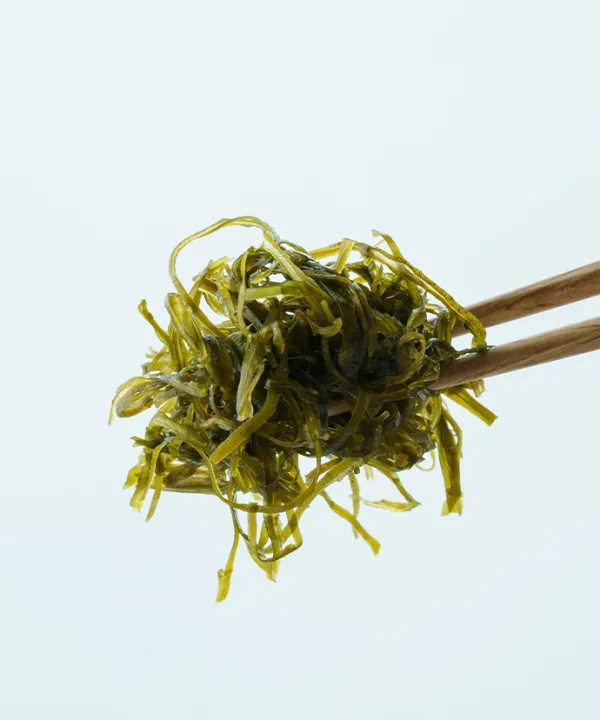 茅乃舎 翡翠昆布