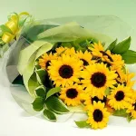 幸運を運ぶ大きなひまわり20本の花束