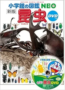 小学館 図鑑 NEO DVD付 新版 昆虫