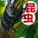 DVD付 昆虫