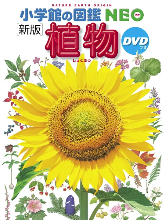 11位.図鑑