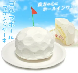 HTCゴルフ／エイチ・ティー・シー ゴルフ ゴルフボール スポンジケーキ