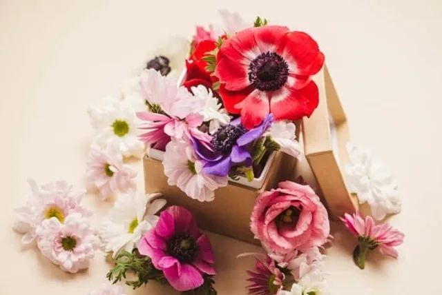 妻の誕生日プレゼントに贈る花。妻への感謝を表すセンスあふれるアイテム5選!