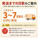 ライオン ナノックスワン PRO ギフトセット