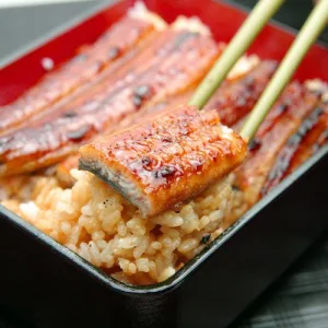 うなぎ屋かわすい 川口水産 国産うなぎ蒲焼き